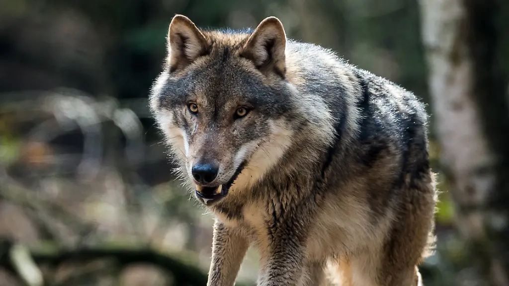 8e3a8226e3c4f91ac7bf86be5acef9c1