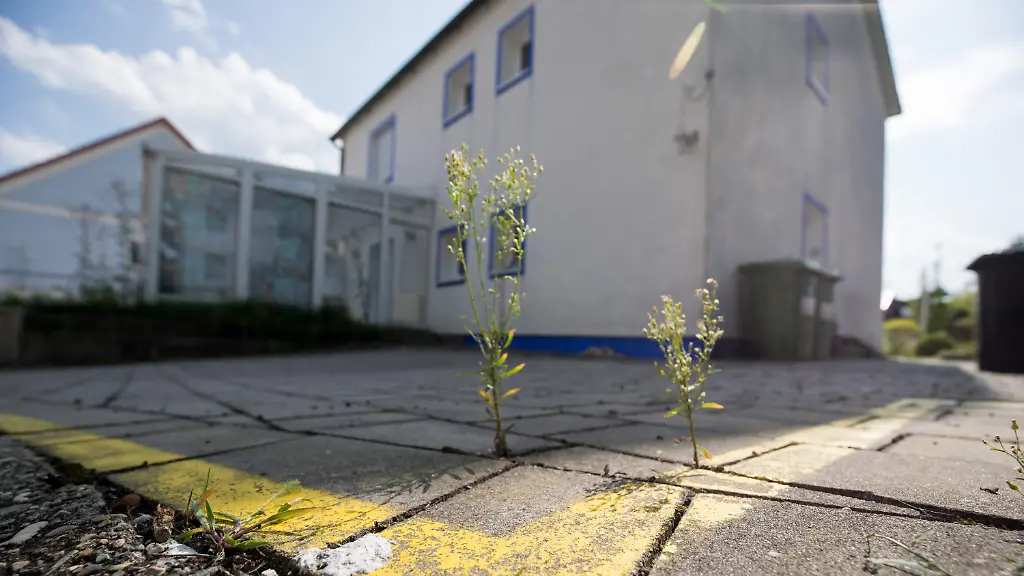 027a68e9484c527feffe7d88f534864f