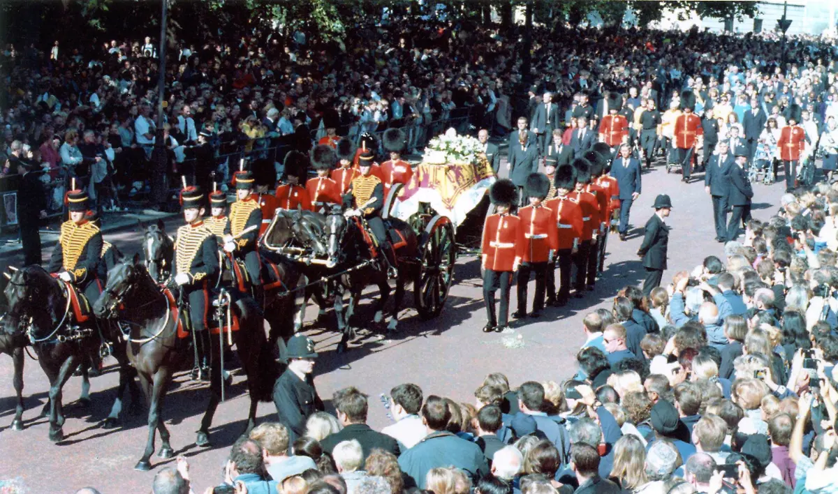 af115f9aa9be57c45271b0af201bfb6e