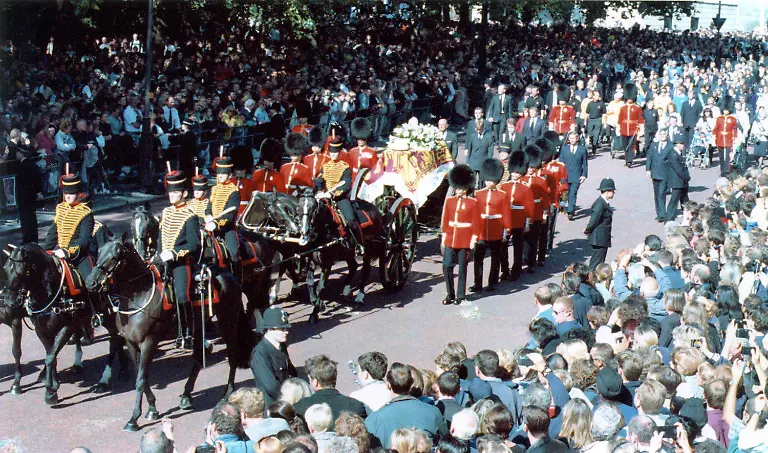 af115f9aa9be57c45271b0af201bfb6e