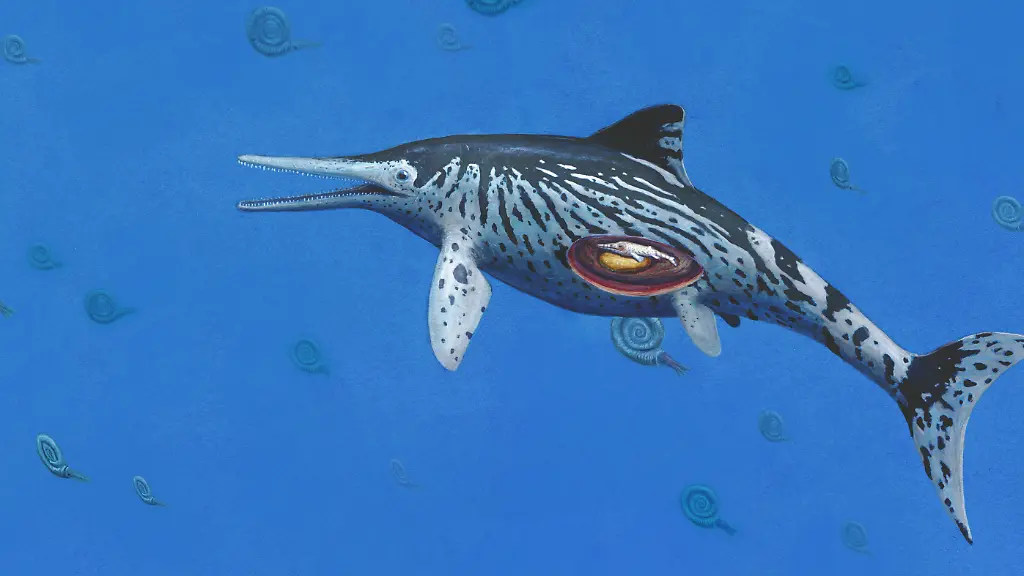 6f74f8cf2fcb6ef6de75fba1e92e6d44