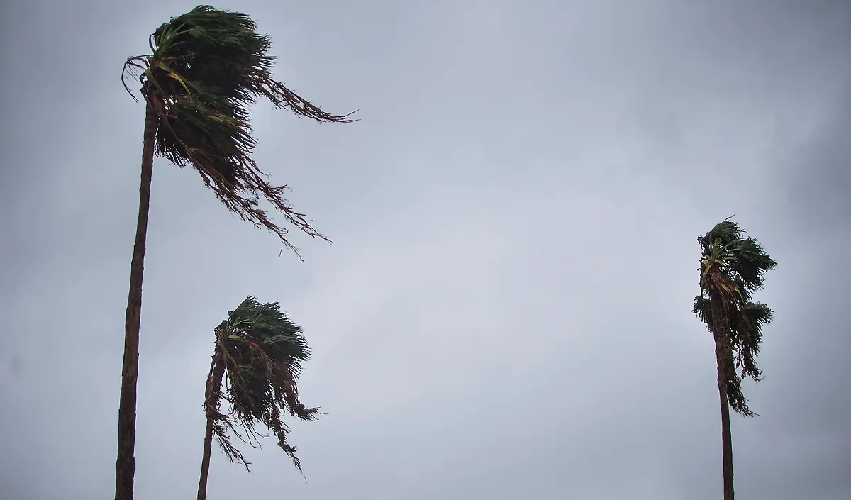 4c461f2edf6479e78fbf70ee229a8a80