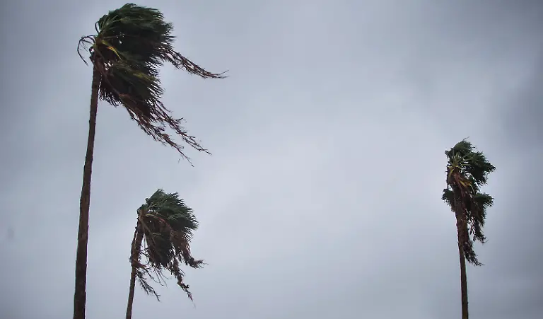 4c461f2edf6479e78fbf70ee229a8a80