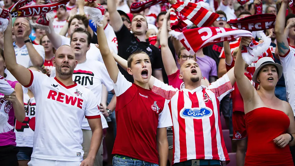 1161a33e8a254f5dda3e8d3fa211309a