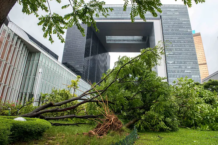 1f2cb5590e2a04e30eb1dff2cd282cac