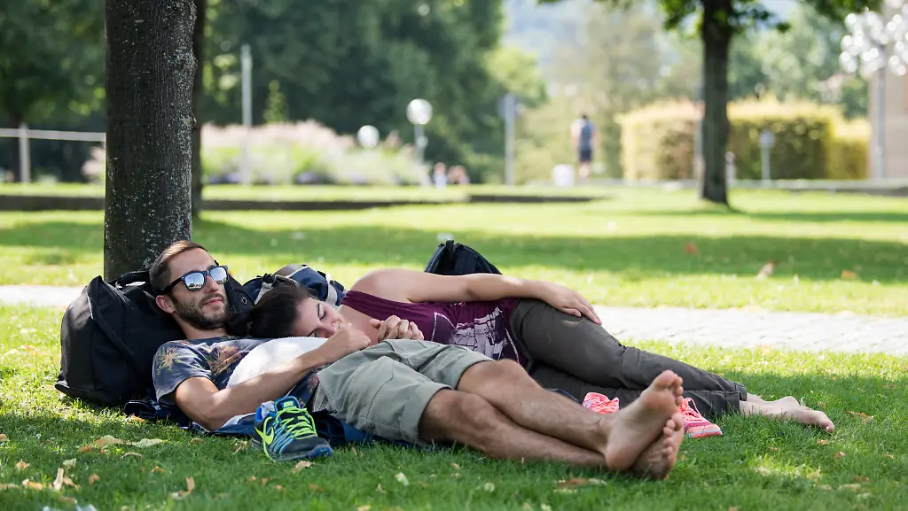 b98df5a7a61fd57e6cd7984a1bfc86e0