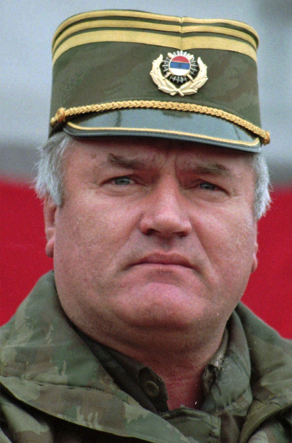 Der serbische Ex-General Ratko Mladic ist gefasst.