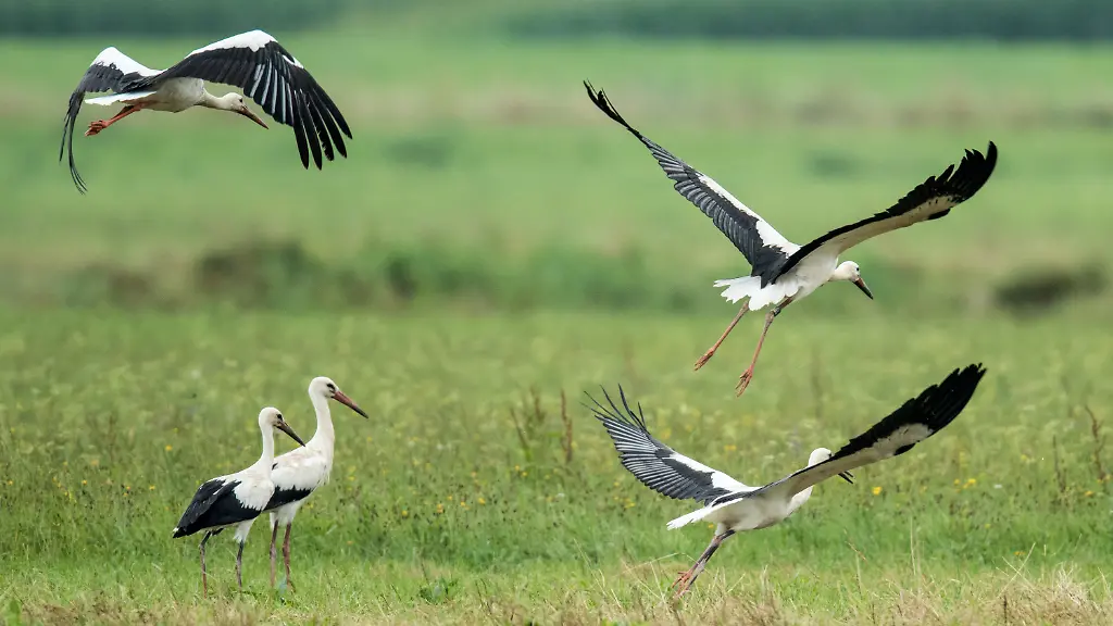 46b7e5ffe53c410183cad607e4d0c7b1