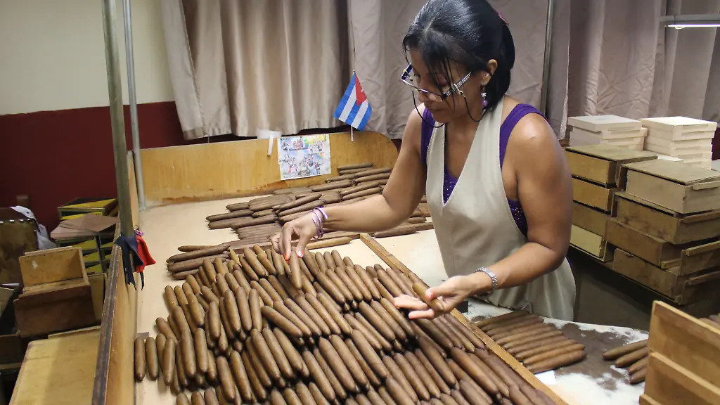 1fd4279fd7dcdd15f1b343435f52cdd7