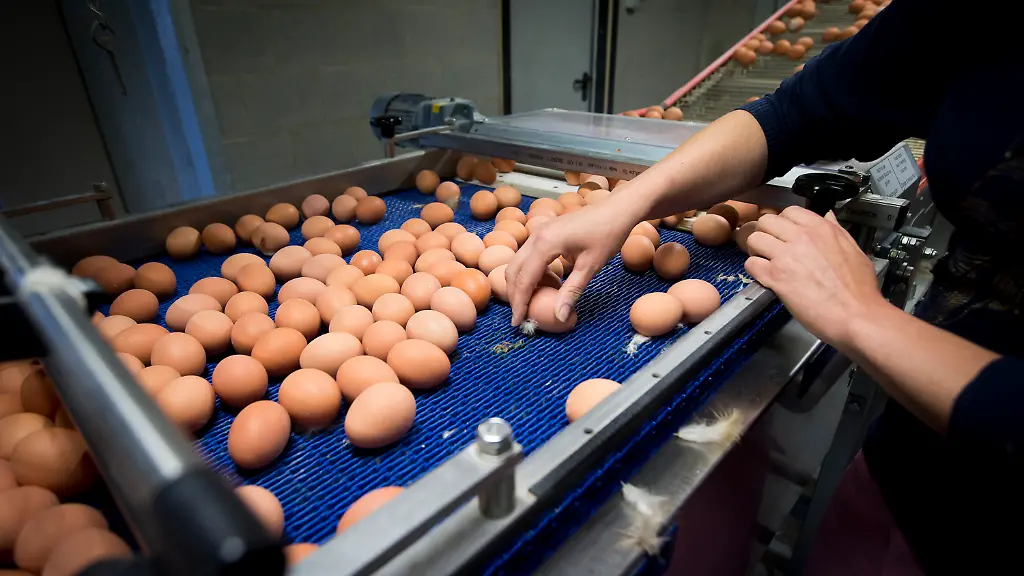 f6003e19151c150f6223254e1ec1100d