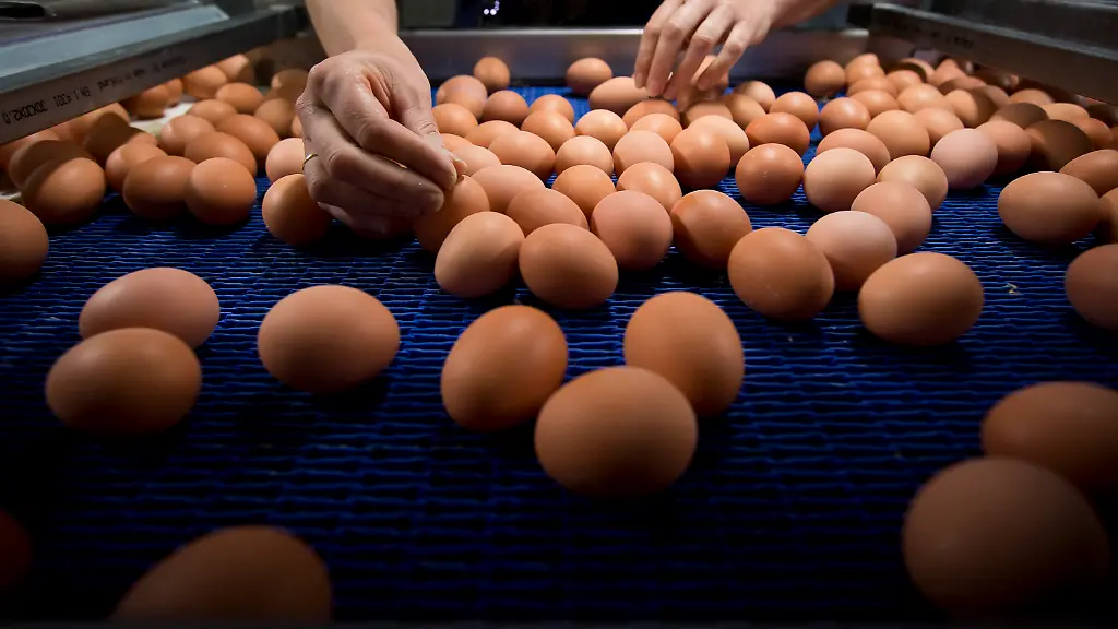 778a977ad06a182c1baeafc89c65d76b