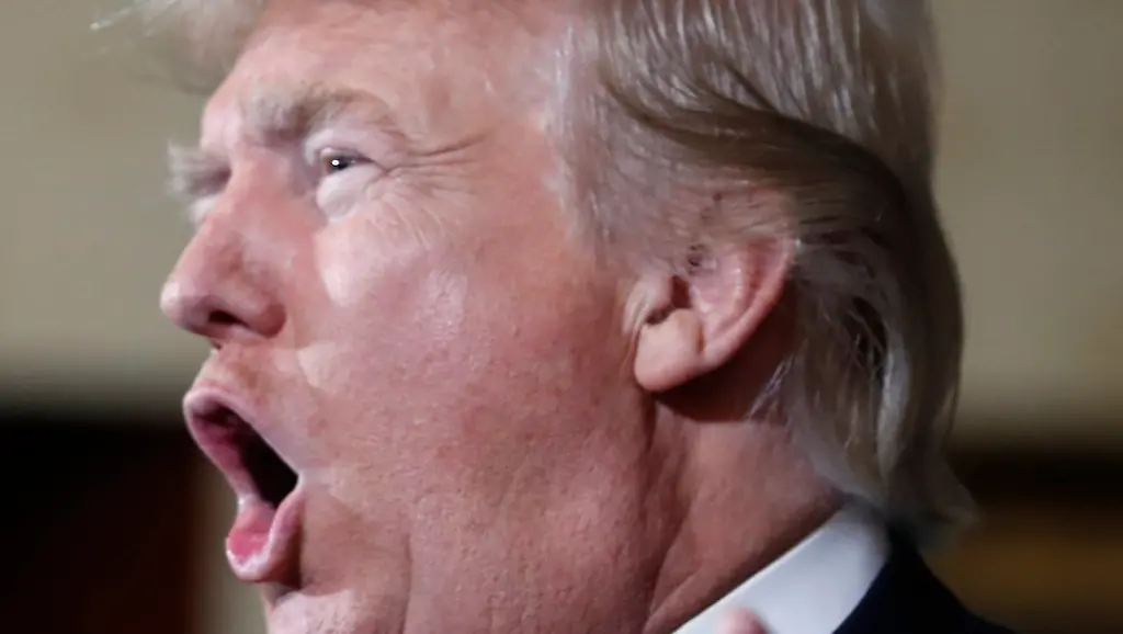 e6263b18ba346a1220c52a0f5ef839a5