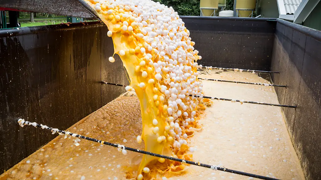 87518a4fe60d70c55d7b70964507606b