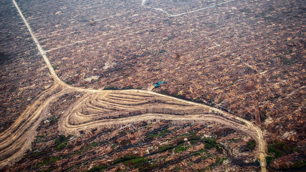 778d4bd35bccd33c8a80026715fe90b9