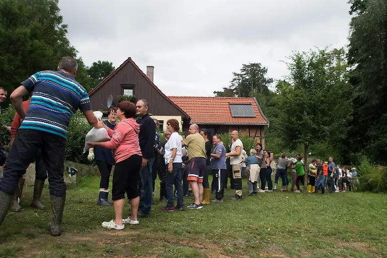 95a2a13ae08155a78a0a607e87cee198