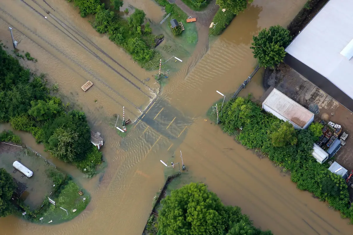 81fbe0b0d6cdfc5e621a6af535a0a4b5