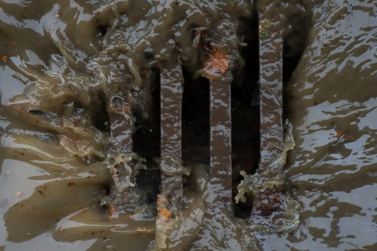 e0988f9a2e7d7c0de650fd6a625b6760