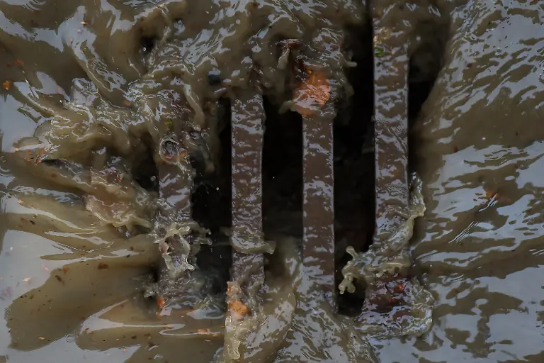 e0988f9a2e7d7c0de650fd6a625b6760