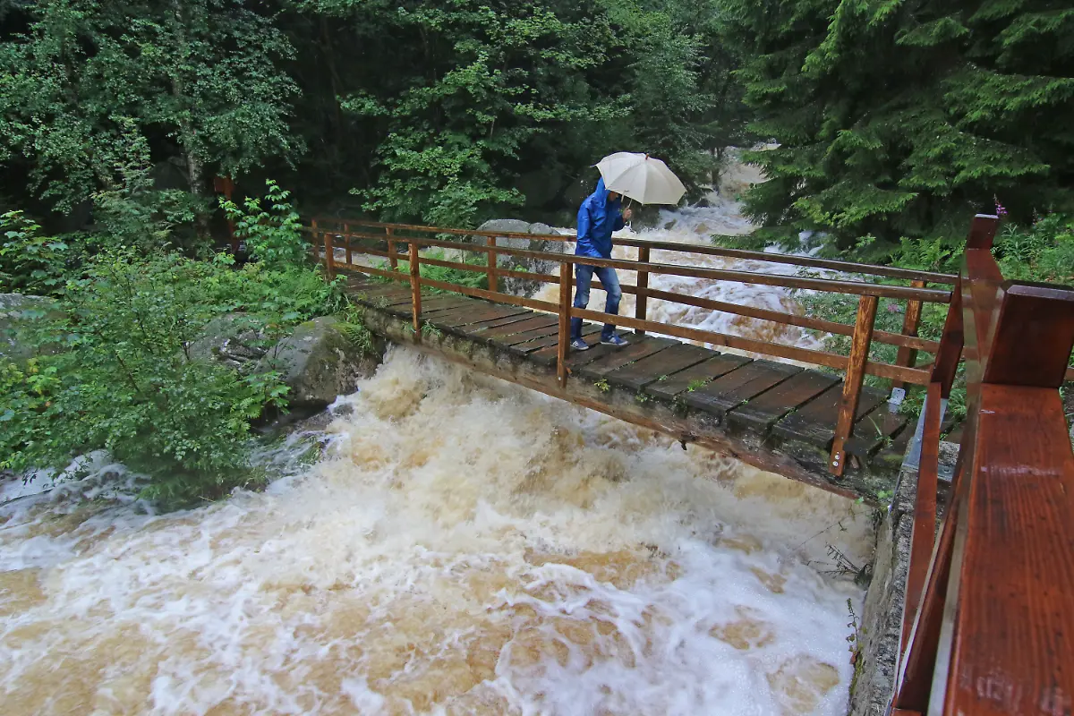 8686f91408d66a45551e1426eda297b0