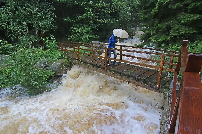 8686f91408d66a45551e1426eda297b0