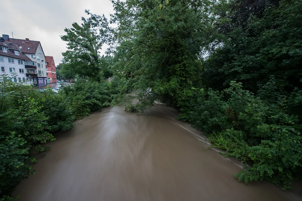 81eb22705514c80d57eff015c6ece2f2