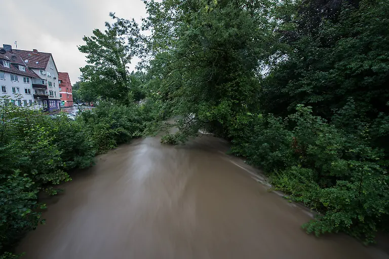 81eb22705514c80d57eff015c6ece2f2