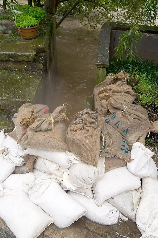 a9c89cd50be1670b3621bf95499008d9