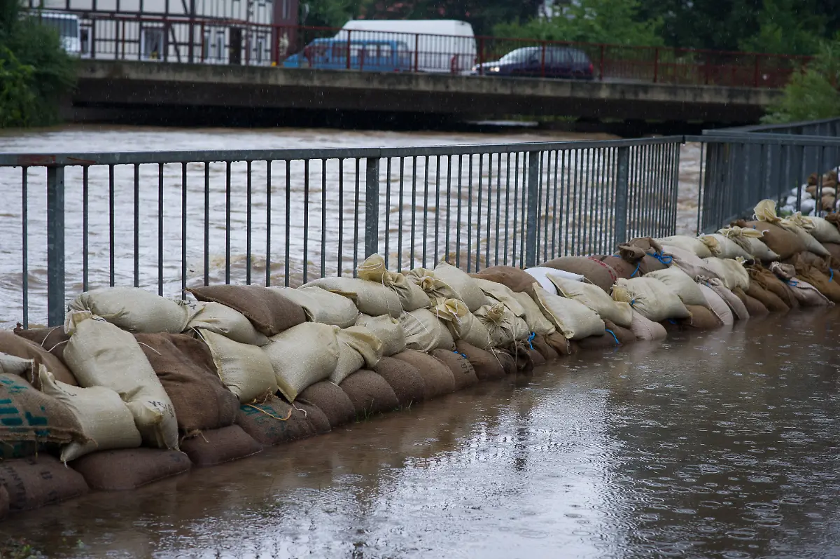 753dce92868efa1da04bbfabdc5a590f