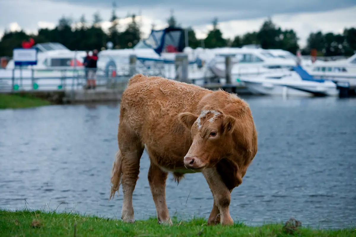 Bild-30-von-50-2009-08-26-034
