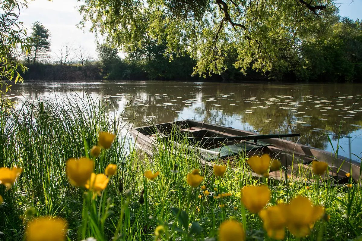 Bild-04-von-50-2017-05-13-003