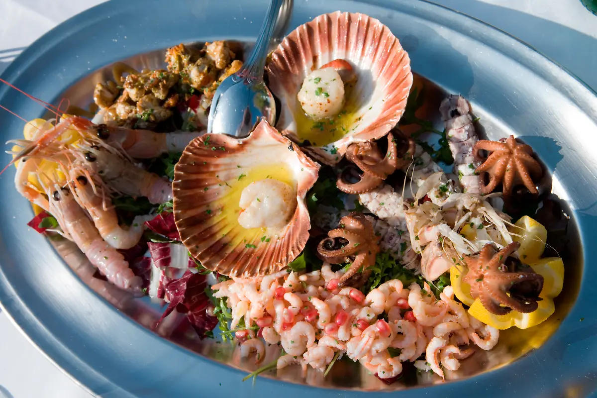 Bild-46-von-50-2008-10-26-082