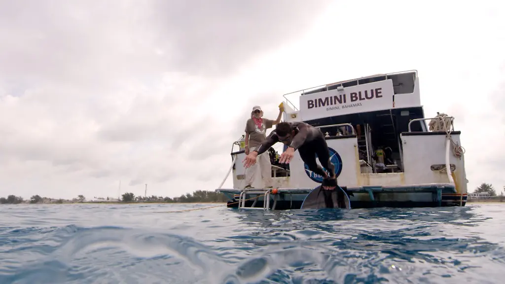 4ef874857d260e75e2ad906b02181ced