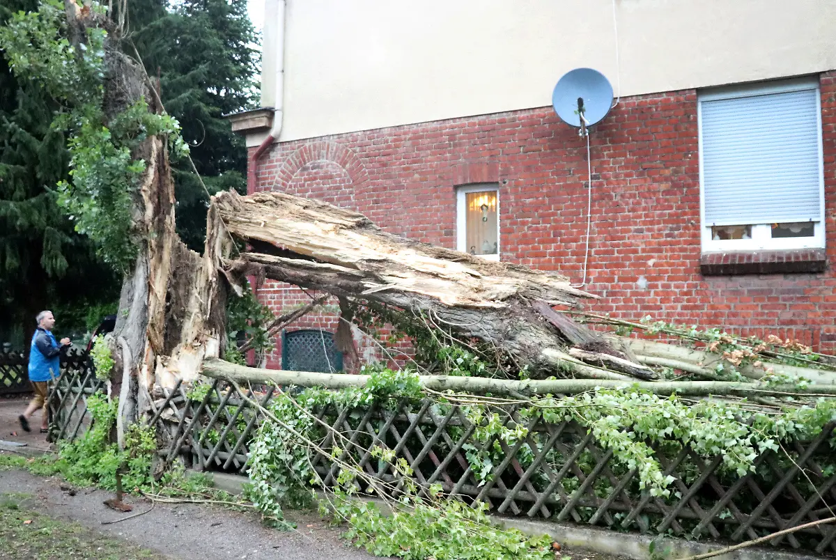 624549d14e40e3c26bff7f9e85a59f91