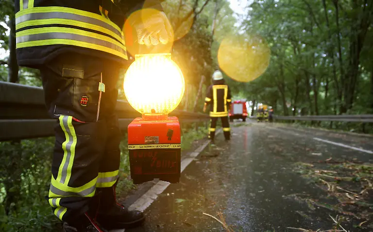 92533d236f08acc3ae303a142efbc5c8