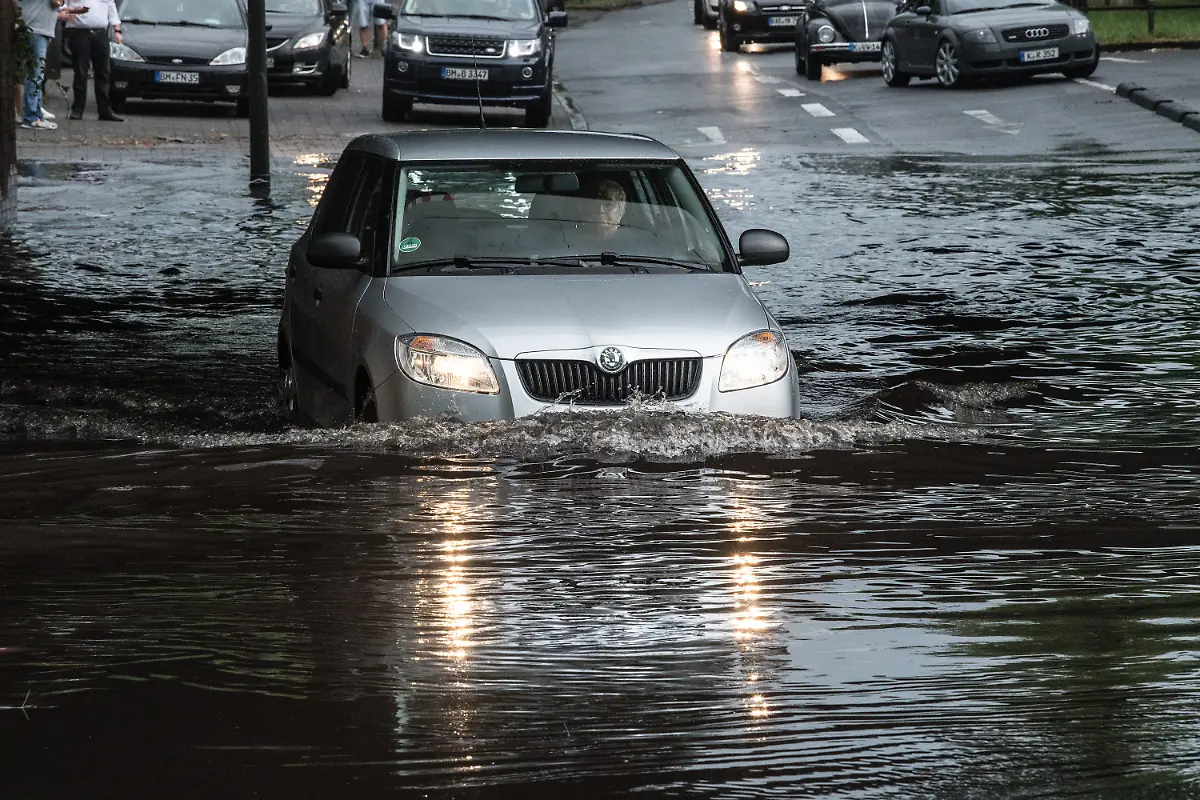 5481ec221dea7f3e6a973659598ea9ab