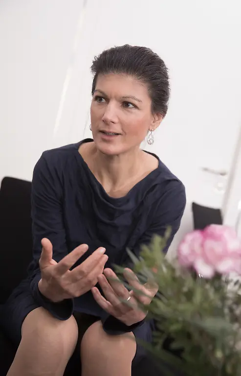 wagenknecht1