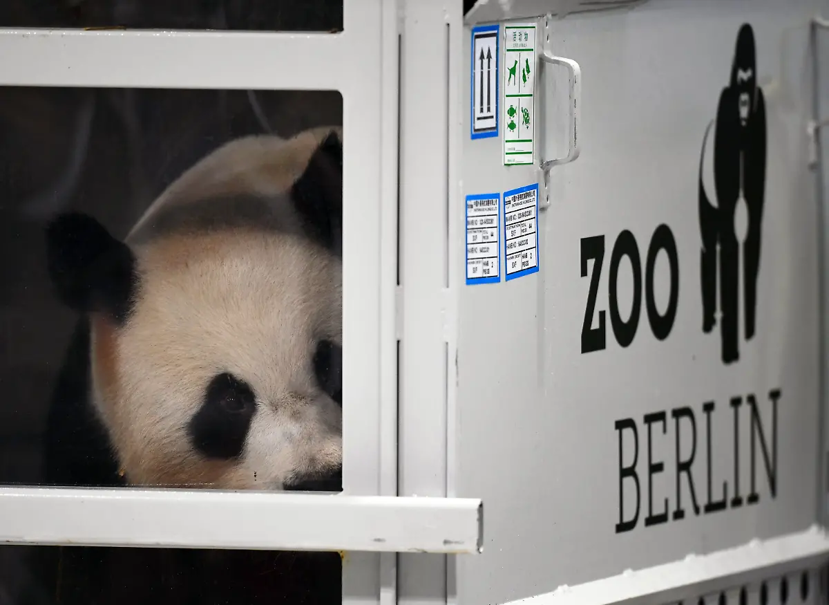 0ff4027fcd64e49a1f3d097542574436