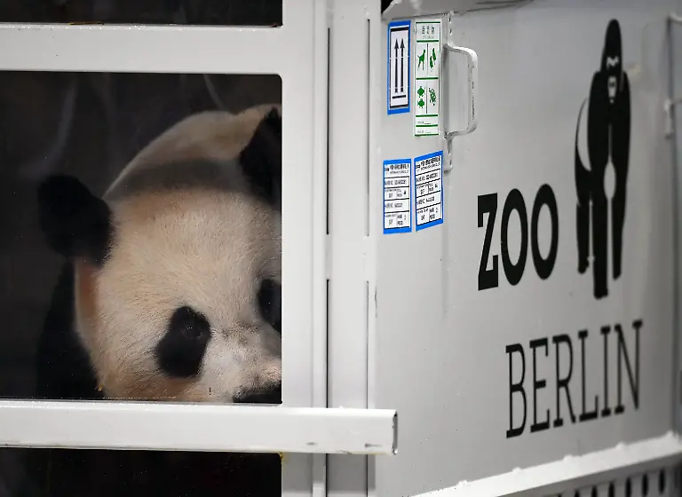 0ff4027fcd64e49a1f3d097542574436