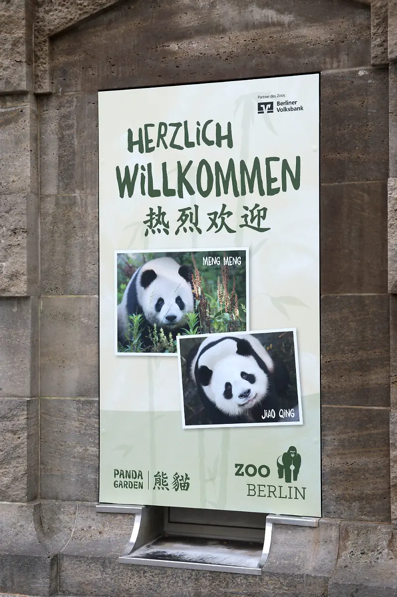 5121065691428f1917a582582e86660d