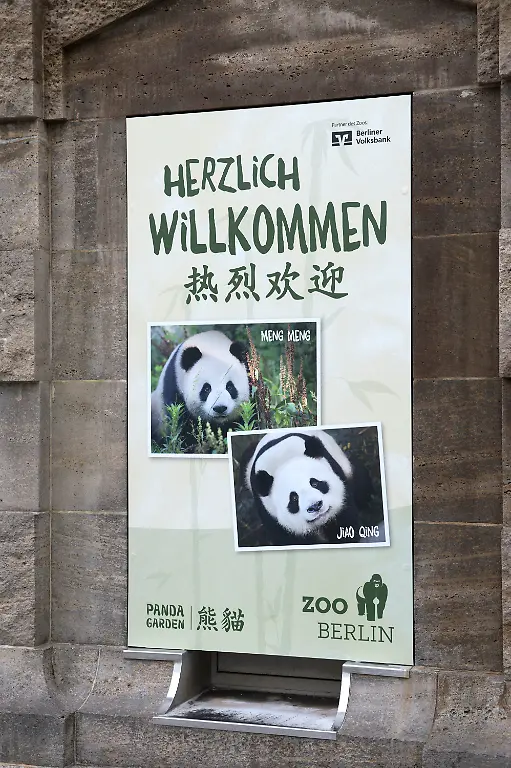 5121065691428f1917a582582e86660d