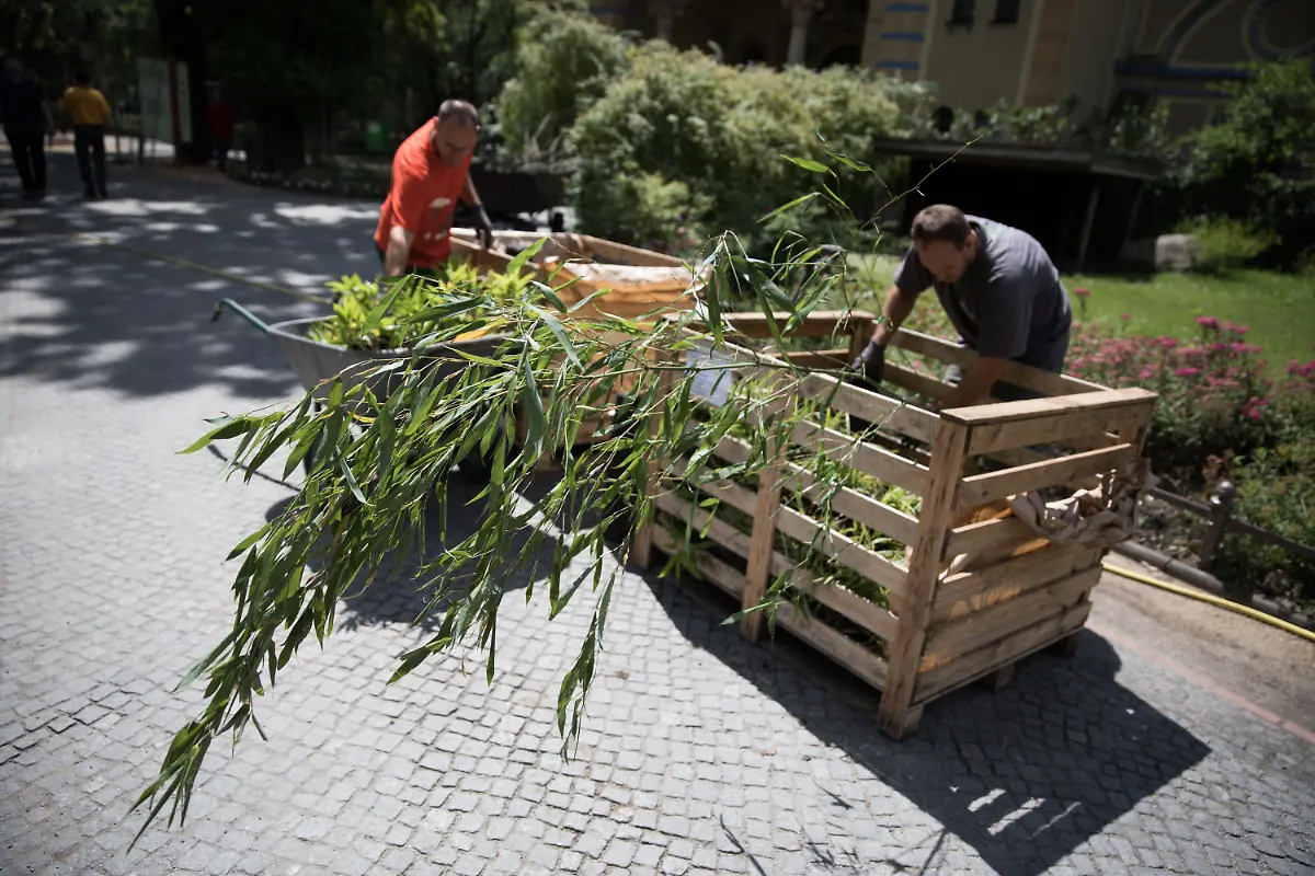 f9fca3139b48e6252144b003fde5888e