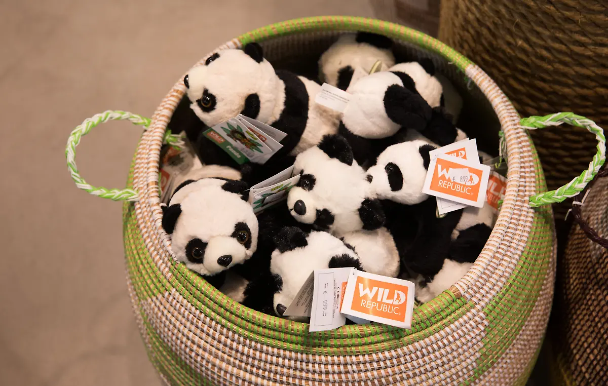 69a523f75d4f34f29c8e991cfc1b6032