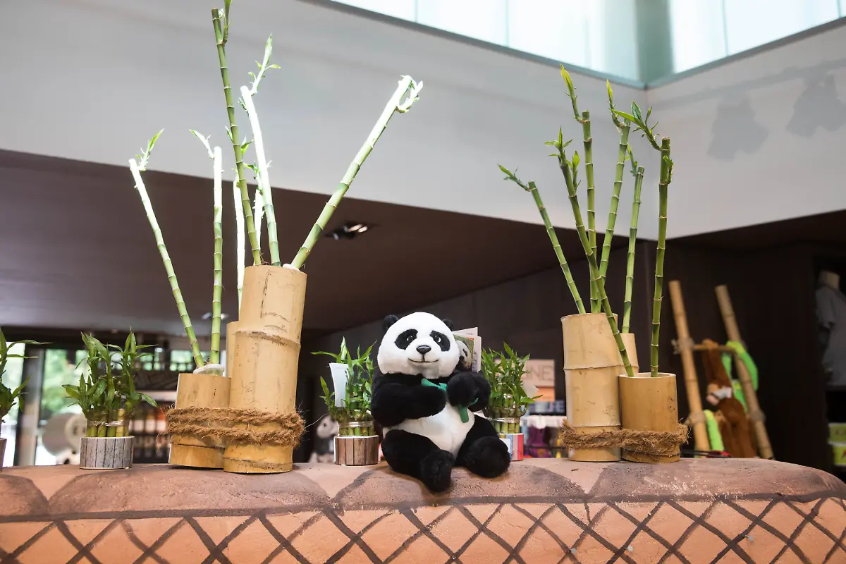 d16e8b953fd109f4eb2393b53d76f6af