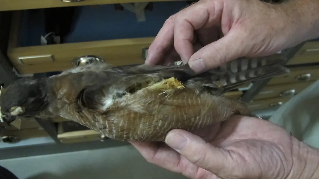 0cef61ba2803f8f9fc15d4b7395ac819