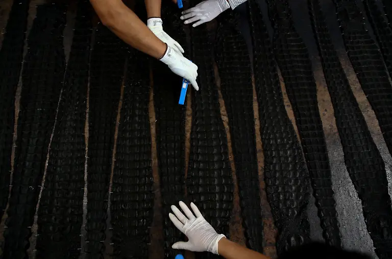 52a35849c775b3b8f0fc45ffab136668