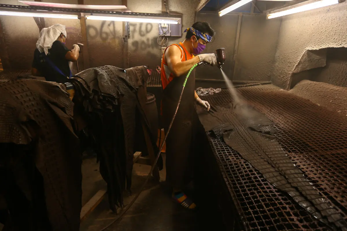 cebc91936a6a9151849b68a1c69004ea