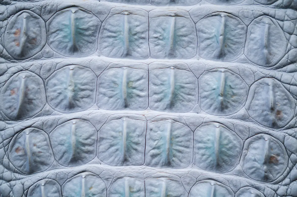 bcab48ade8e3a98b5e5c5b884fdc6028