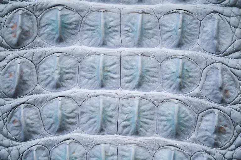 bcab48ade8e3a98b5e5c5b884fdc6028