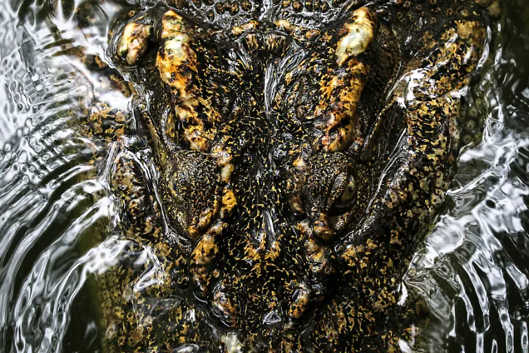 e2237f8fa1eca8bb9ff98f81a77122e5