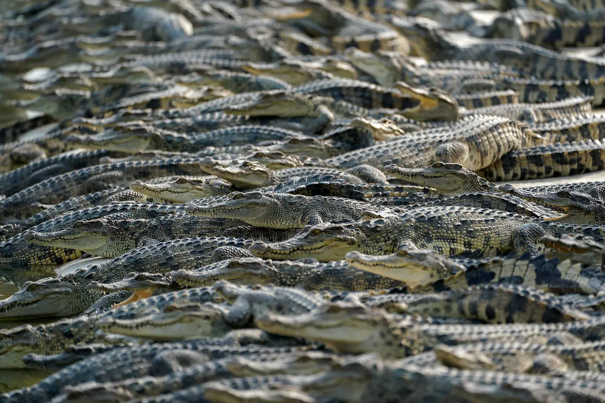 9f716607ca6ff0bd6764e47e5c29c669